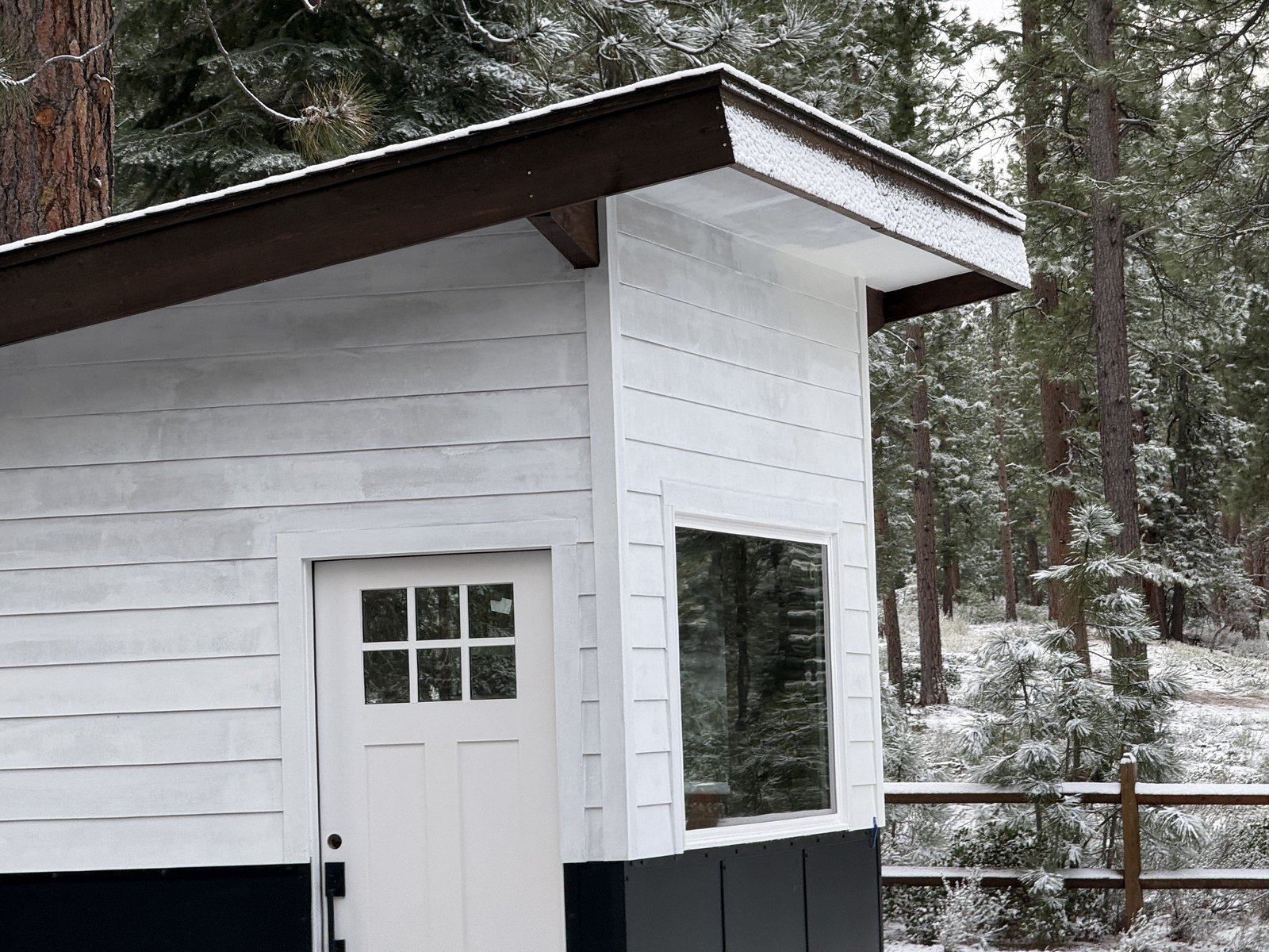 Royal Way Shed spring reveal photo 35